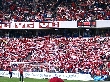 Vif-ffk 05