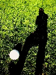 shadowman