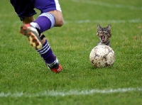 Profilbilde for Oleg